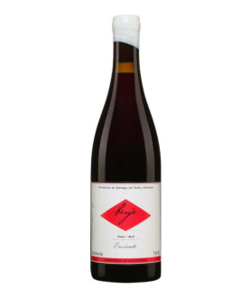 Envínate Benje Tinto 75 cl